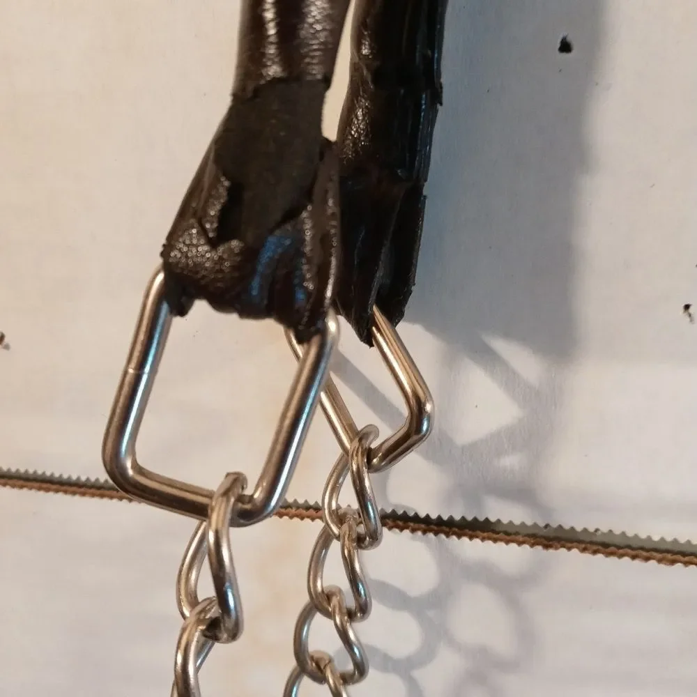 Large Snakeskin Crossbody Silver Chain Bag